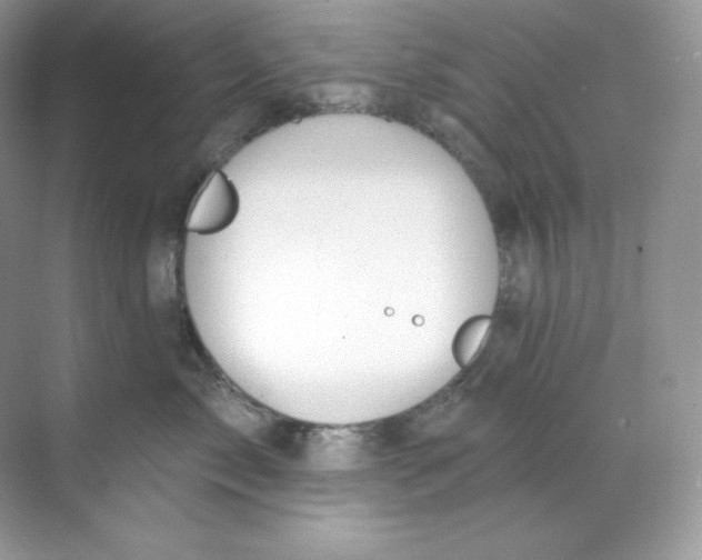 X0000068740717200605192345