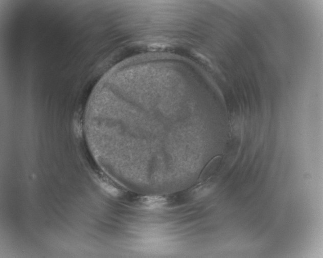 X0000068740719200605192345