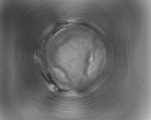 X0000068740720200605192345