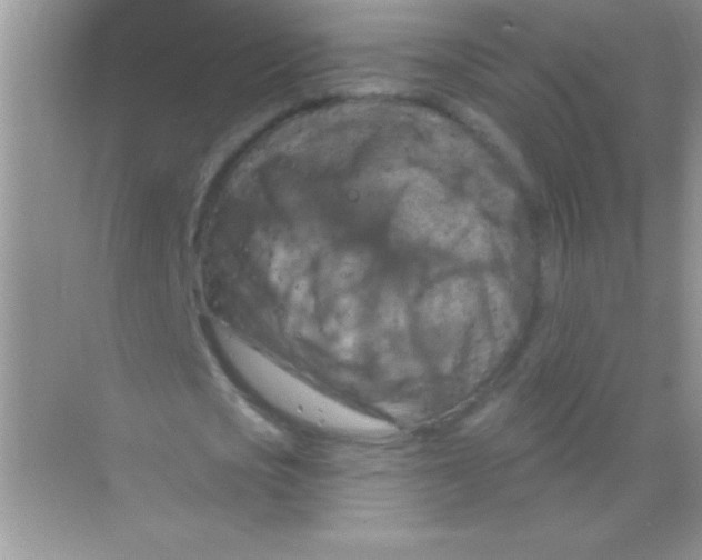 X0000068740721200605192344