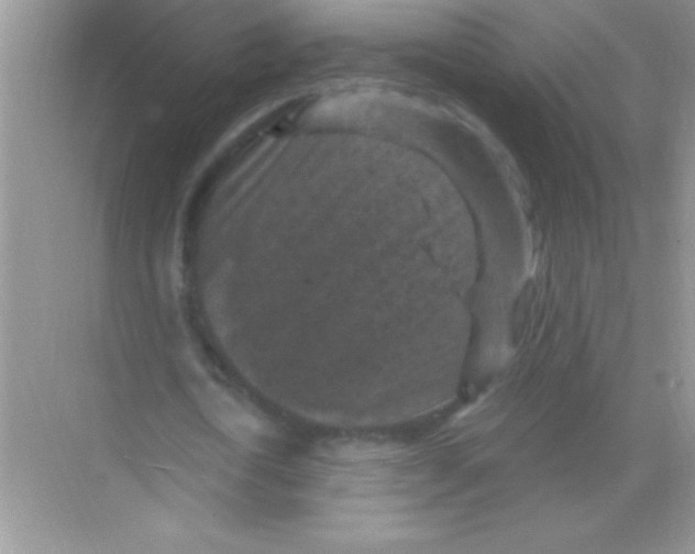 X0000068740722200605192344