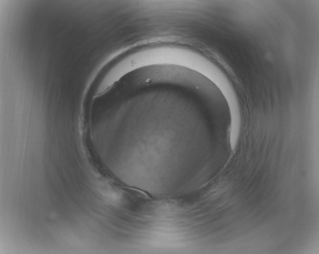 X0000068740724200605192344