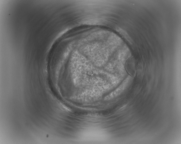 X0000068740727200605192344