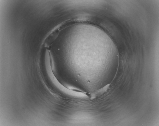 X0000068740728200605192344