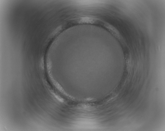 X0000068740729200605192344