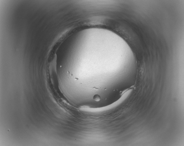 X0000068740732200605192344