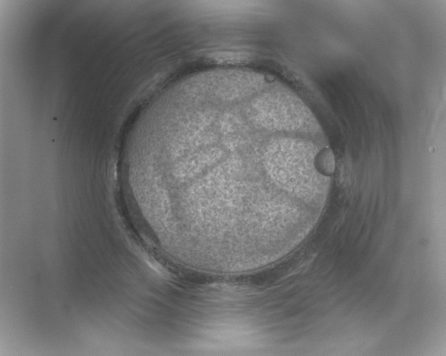 X0000068740733200605192344