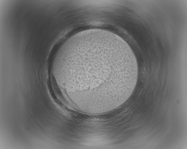 X0000068740734200605192344