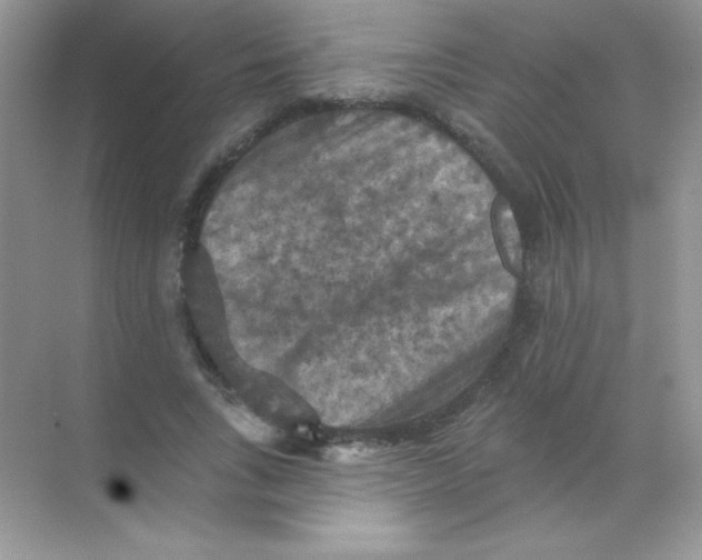 X0000068740735200605192344