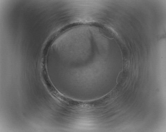 X0000068740736200605192344