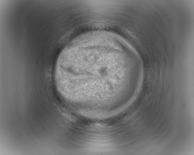 X0000068740737200605192344