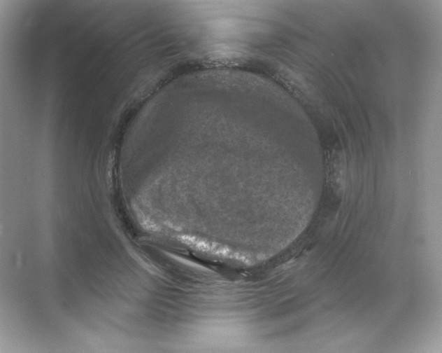 X0000068740742200605192344