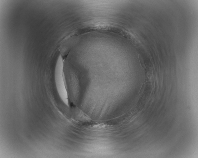 X0000068740744200605192344