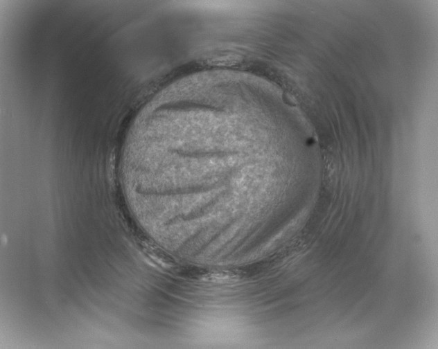 X0000068740745200605192344