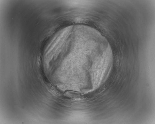 X0000068740746200605192344