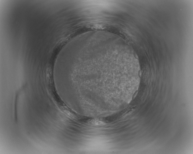 X0000068740747200605192344