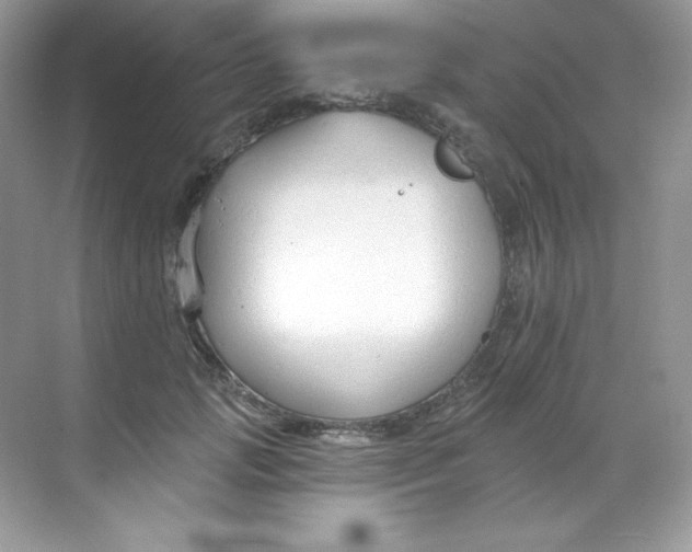 X0000068740749200605192344