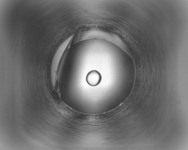 X0000068740750200605192344