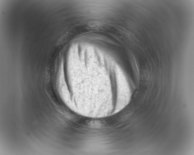 X0000068740751200605192344