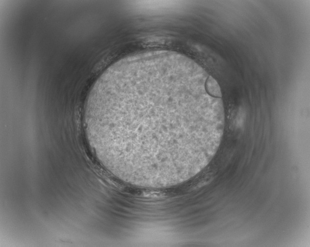 X0000068740753200605192345