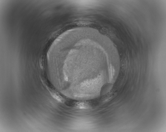 X0000068740755200605192345