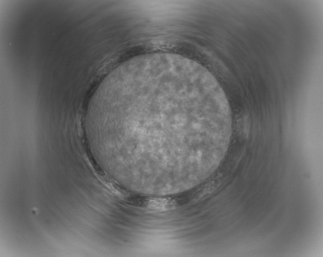 X0000068740757200605192345