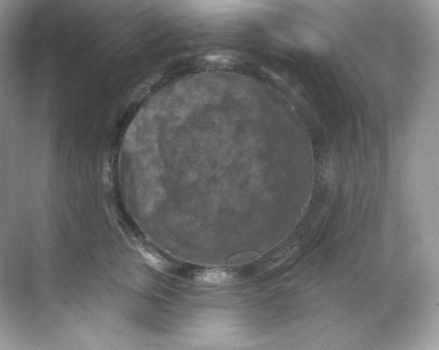 X0000068740759200605192345