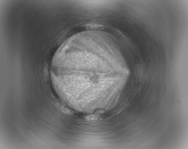 X0000068740761200605192345