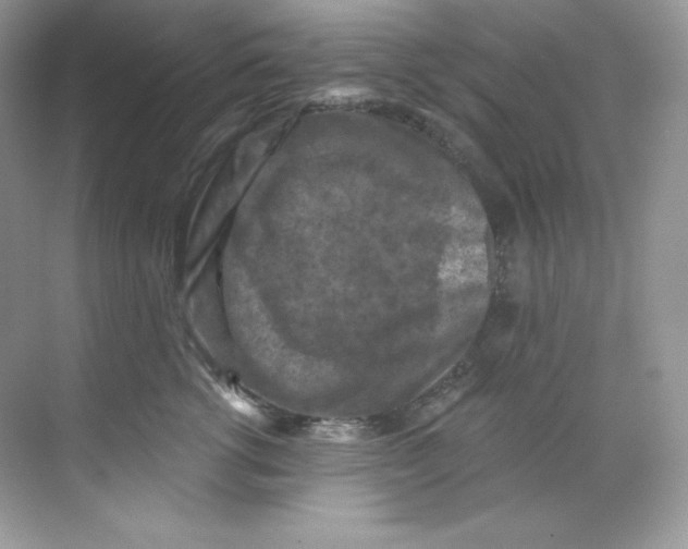 X0000068740762200605192345