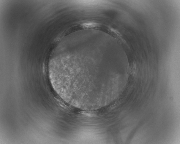 X0000068740763200605192345