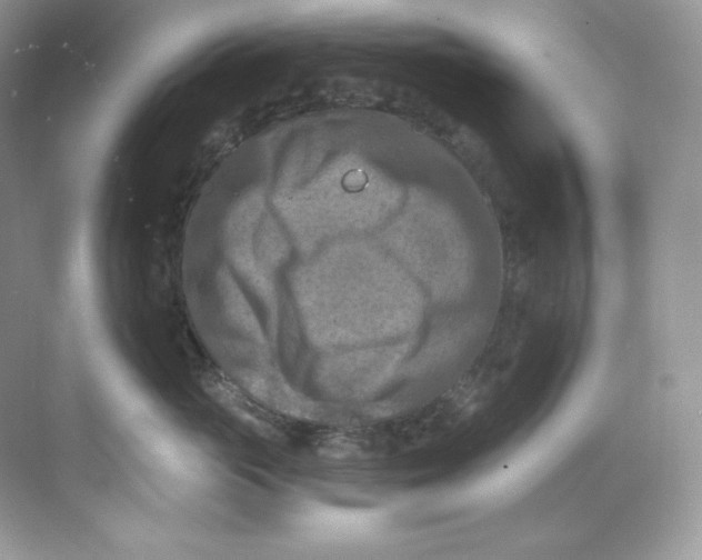 X0000068740765200605192345