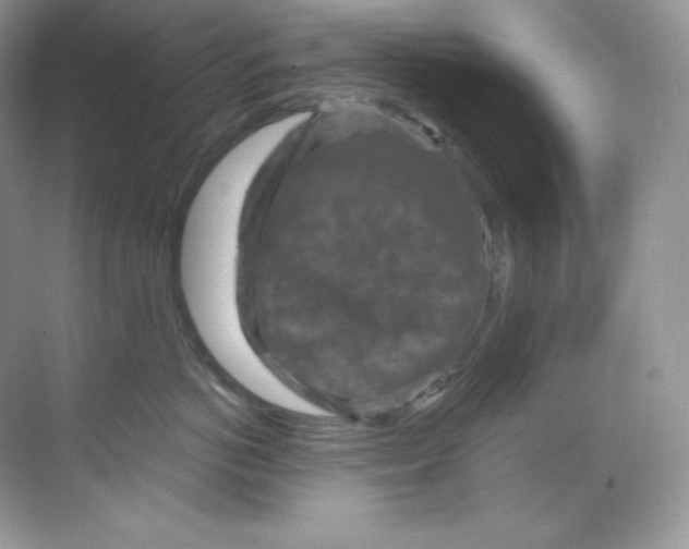 X0000068740766200605192345