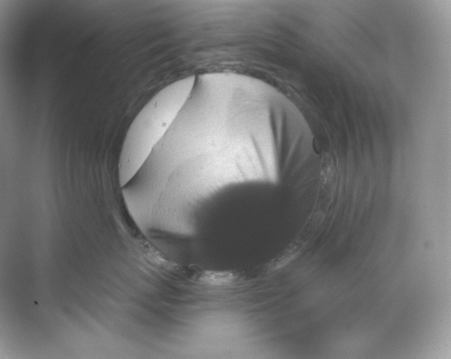 X0000068740767200605192345