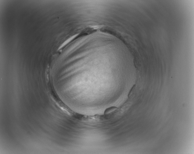 X0000068740768200605192345