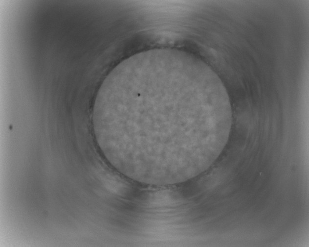 X0000068740769200605192344