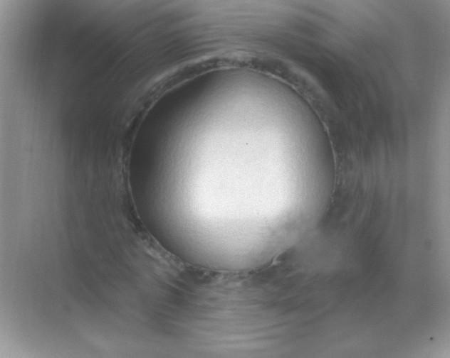 X0000068740773200605192344