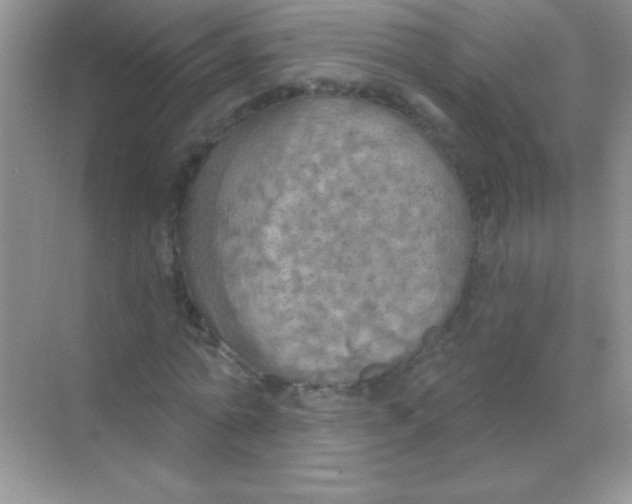 X0000068740774200605192344