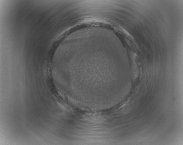 X0000068740775200605192344