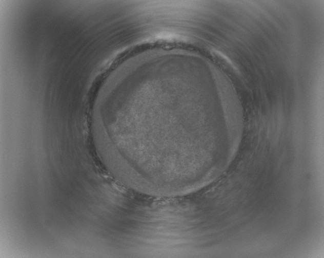 X0000068740776200605192344