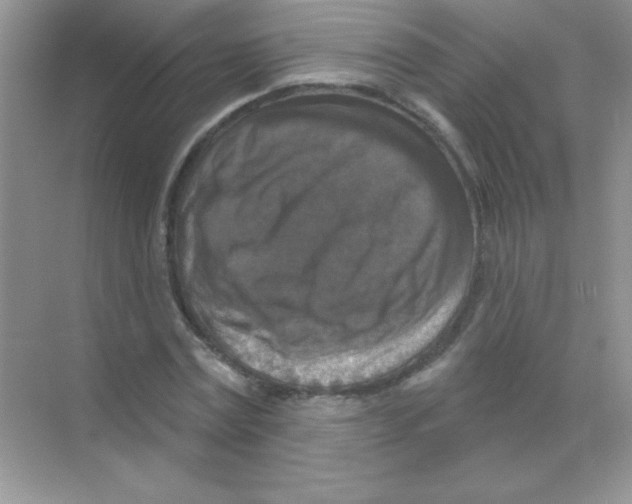 X0000068740779200605192344