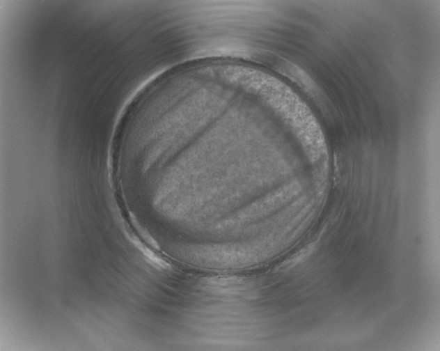 X0000068740780200605192344