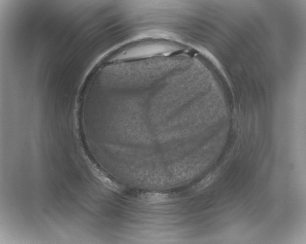 X0000068740783200605192344