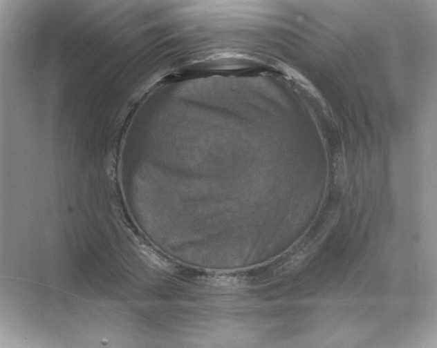 X0000068740785200605192344