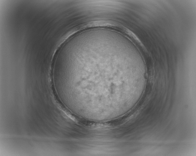 X0000068740786200605192344