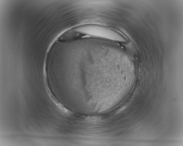 X0000068740788200605192344