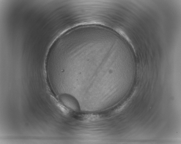 X0000068740789200605192344