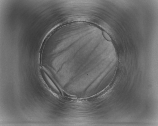 X0000068740790200605192344