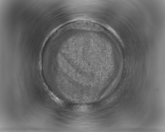 X0000068740791200605192344