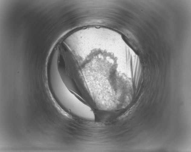 X0000068740792200605192344