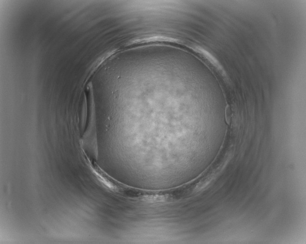 X0000068740793200605192344